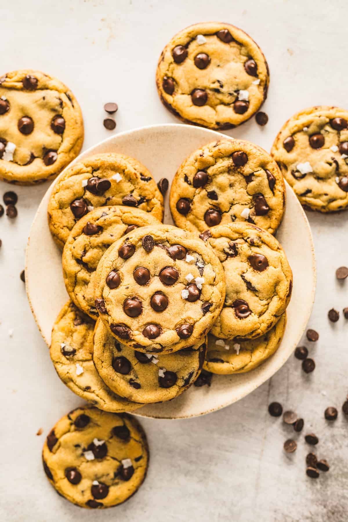classic chocolate chip cookies in a plate.