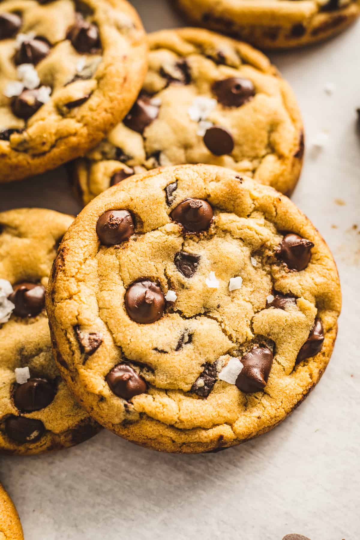close up of a chocolate chip cookie.
