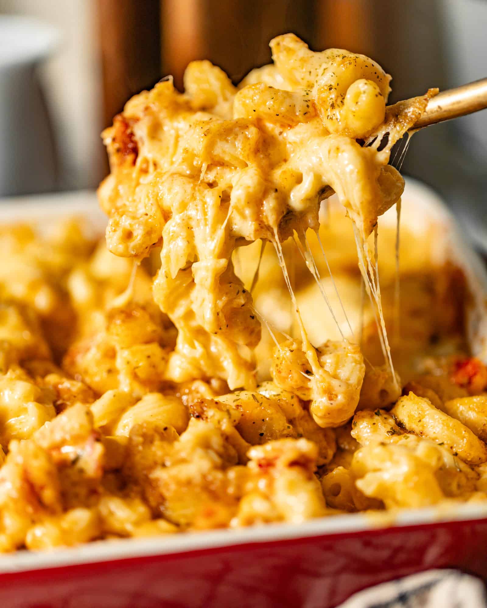 lobster mac and cheese in a casserole dish being scooped out onto a spoon so that you can see the cheese pull