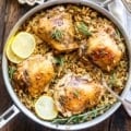 overhead image of chicken in a pan with orzo