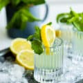 white tea shots in ice garnished with lemon and mint.