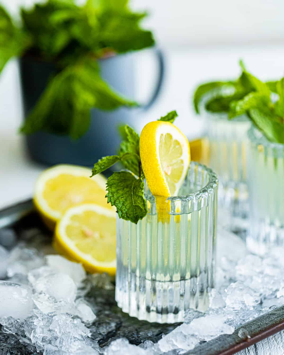 white tea shots in ice garnished with lemon and mint.