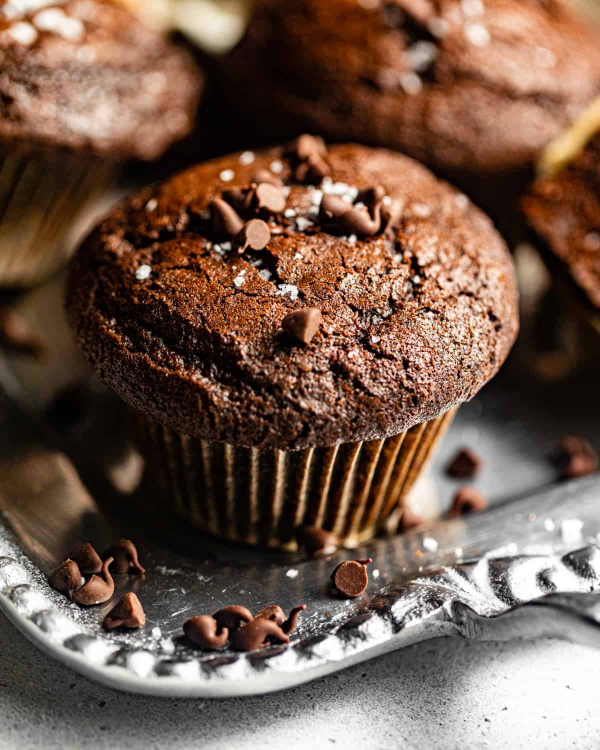 an up close photos of a chocolate muffin on a serving tray topped with chocolate chips.