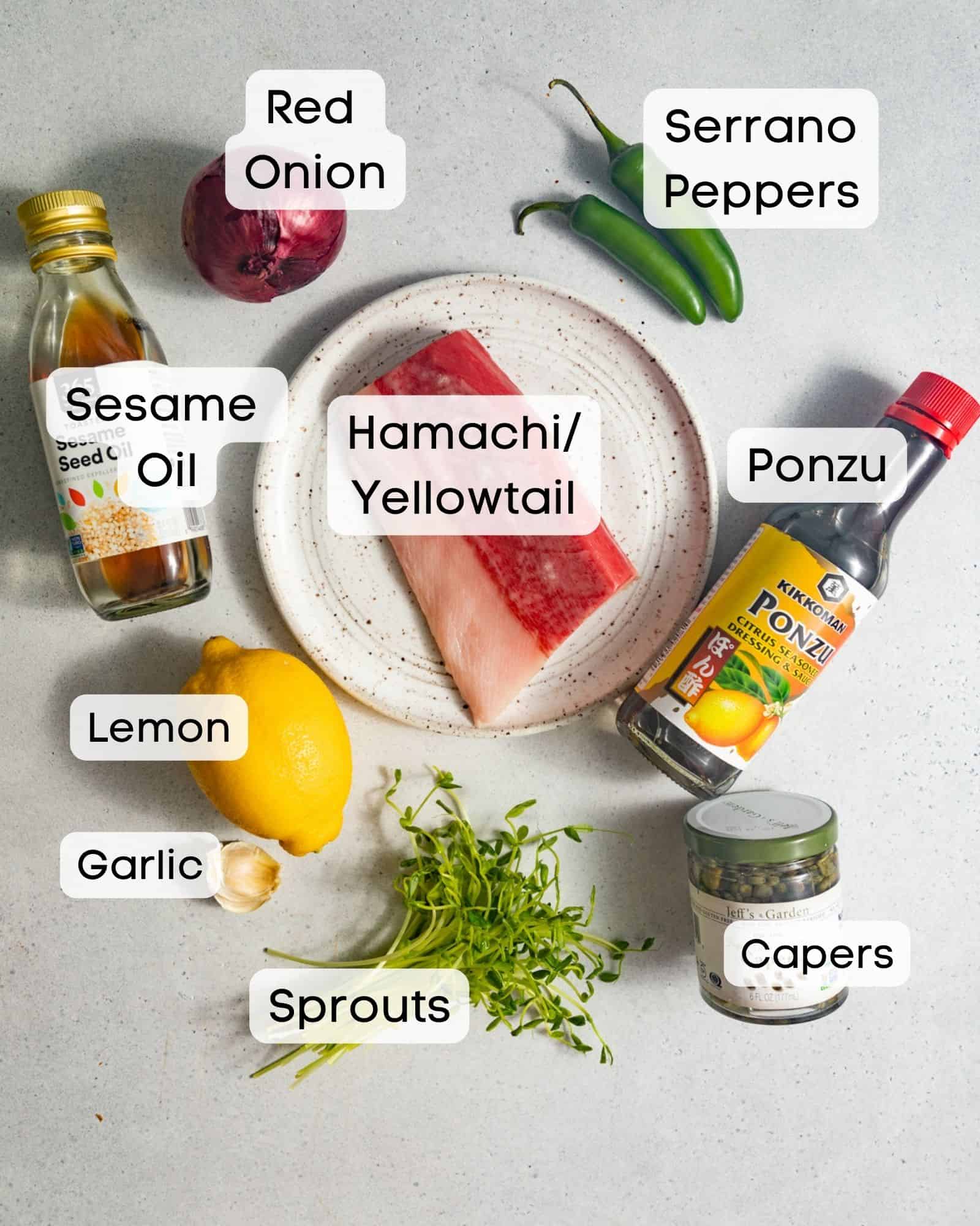 ingredients to make hamachi crudo - hamachi yellowtail, ponzu, sprouts, capers, lemon, garlic, soy sauce, red onion, sesame oil, and serrano peppers.