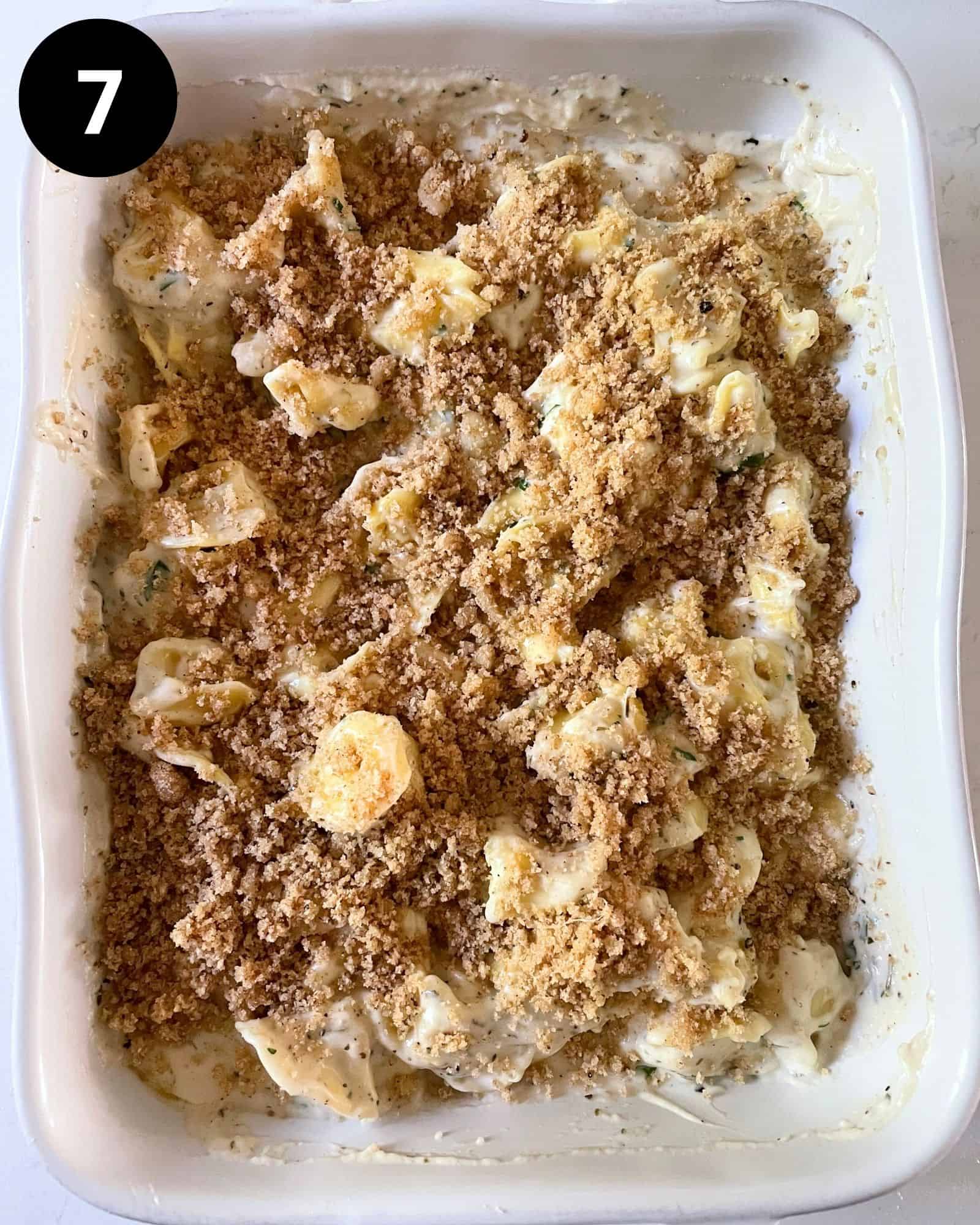 asiago tortellini alfredo in a baking dish topped with breadcrumbs. 