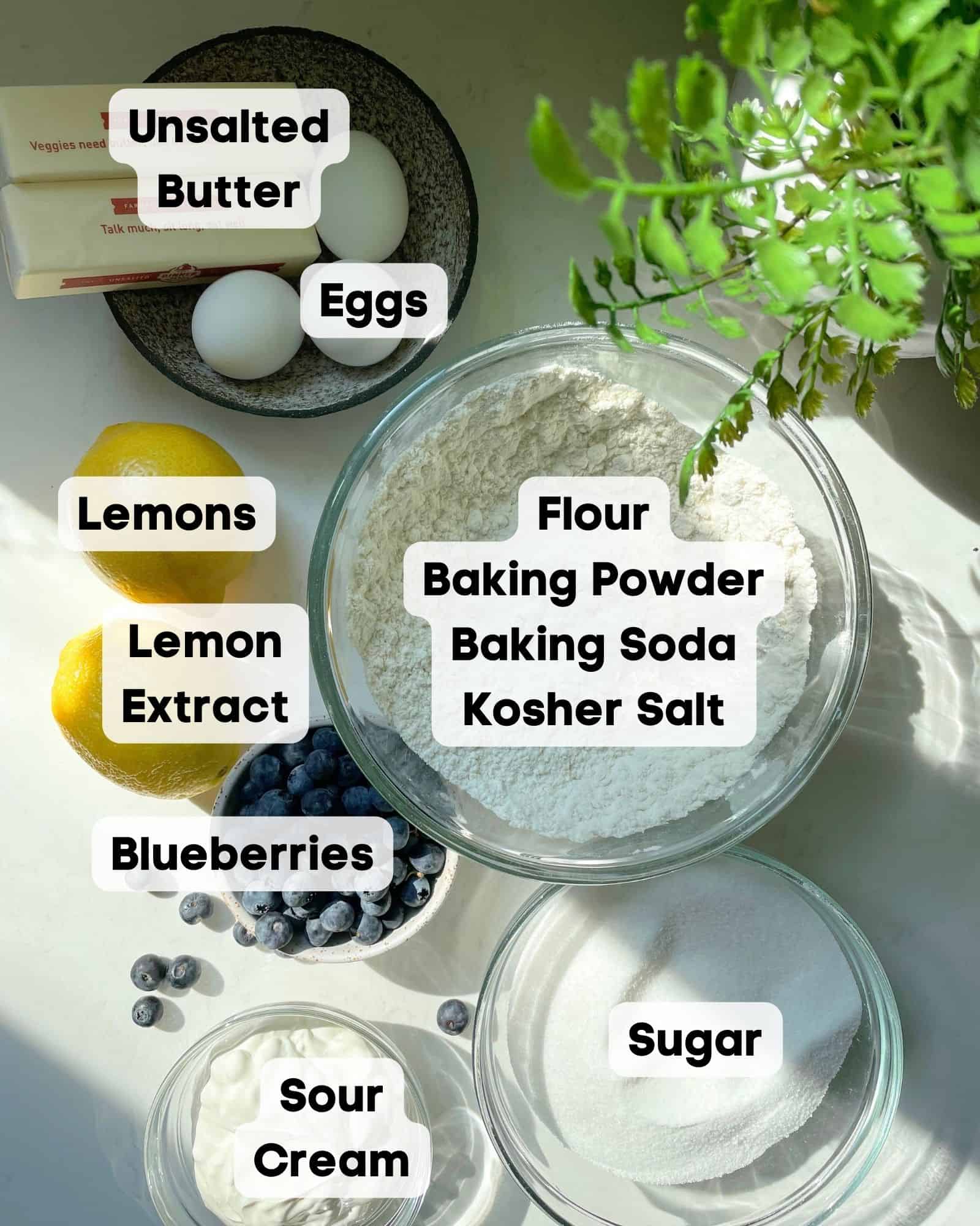 ingredients to make lemon blueberry cake on a white surface with a green plant on the right side.