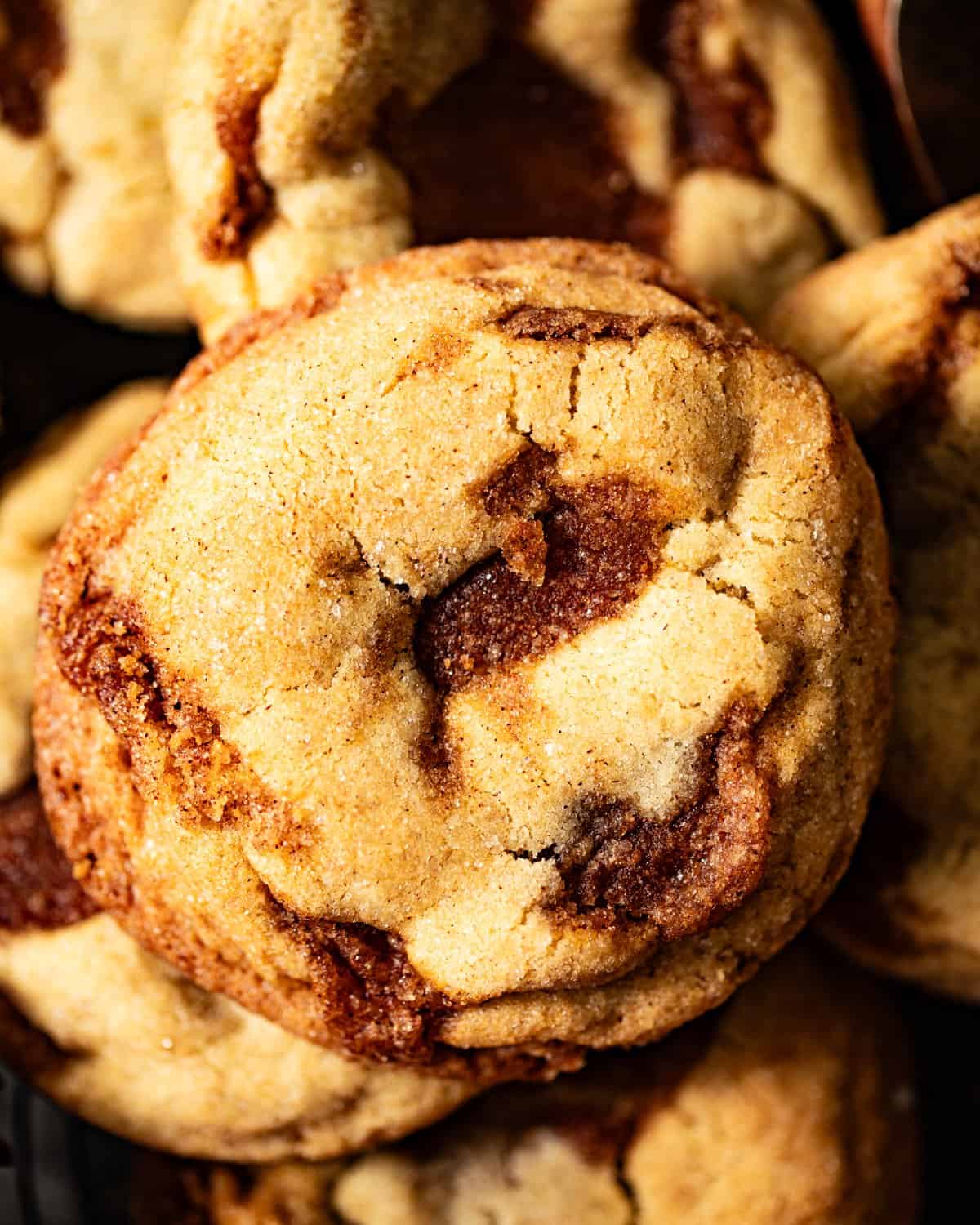 up close photo of a cinnamon cookie