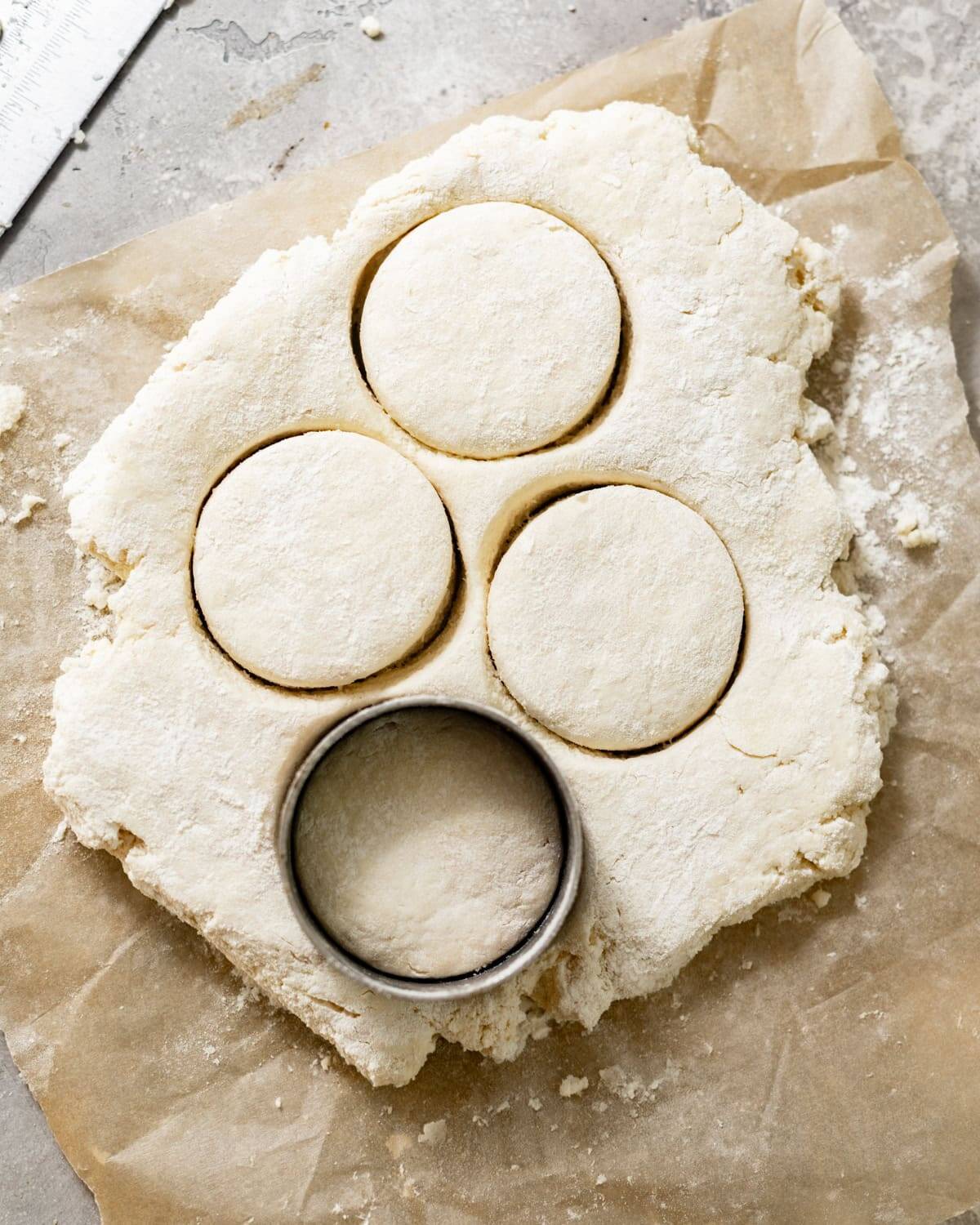 biscuits cut out of the dough on a baking sheet.