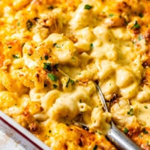 up close photo of seafood mac and cheese in a baking dish.