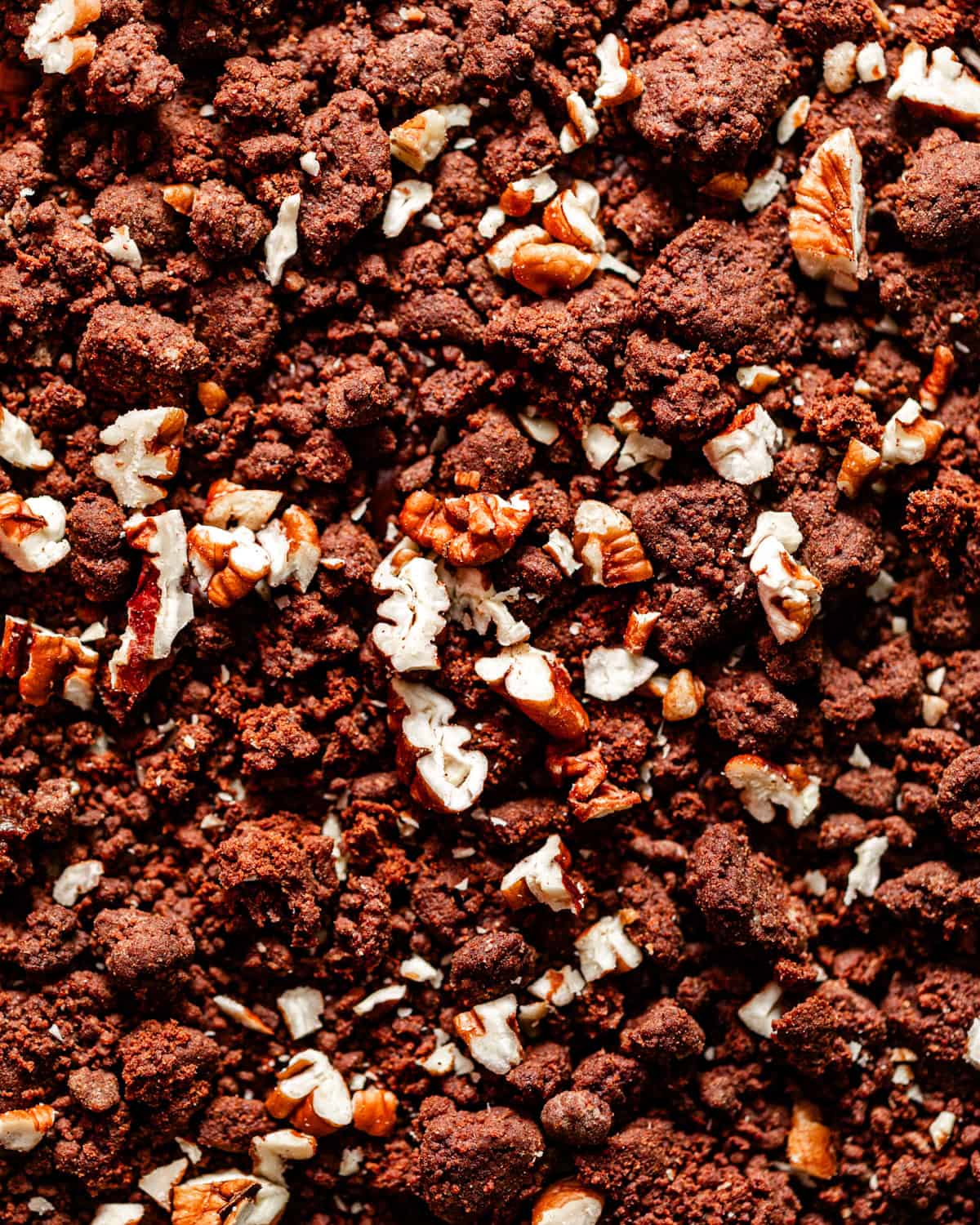 chocolate crunch topping with chopped pecans on a flat surface.