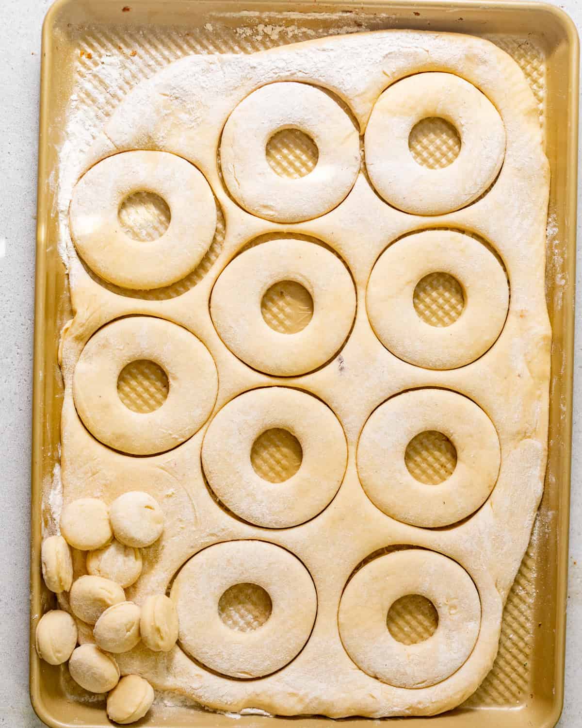 Yeast donut dough rolled out and cut into rings on a baking sheet before the second rise.