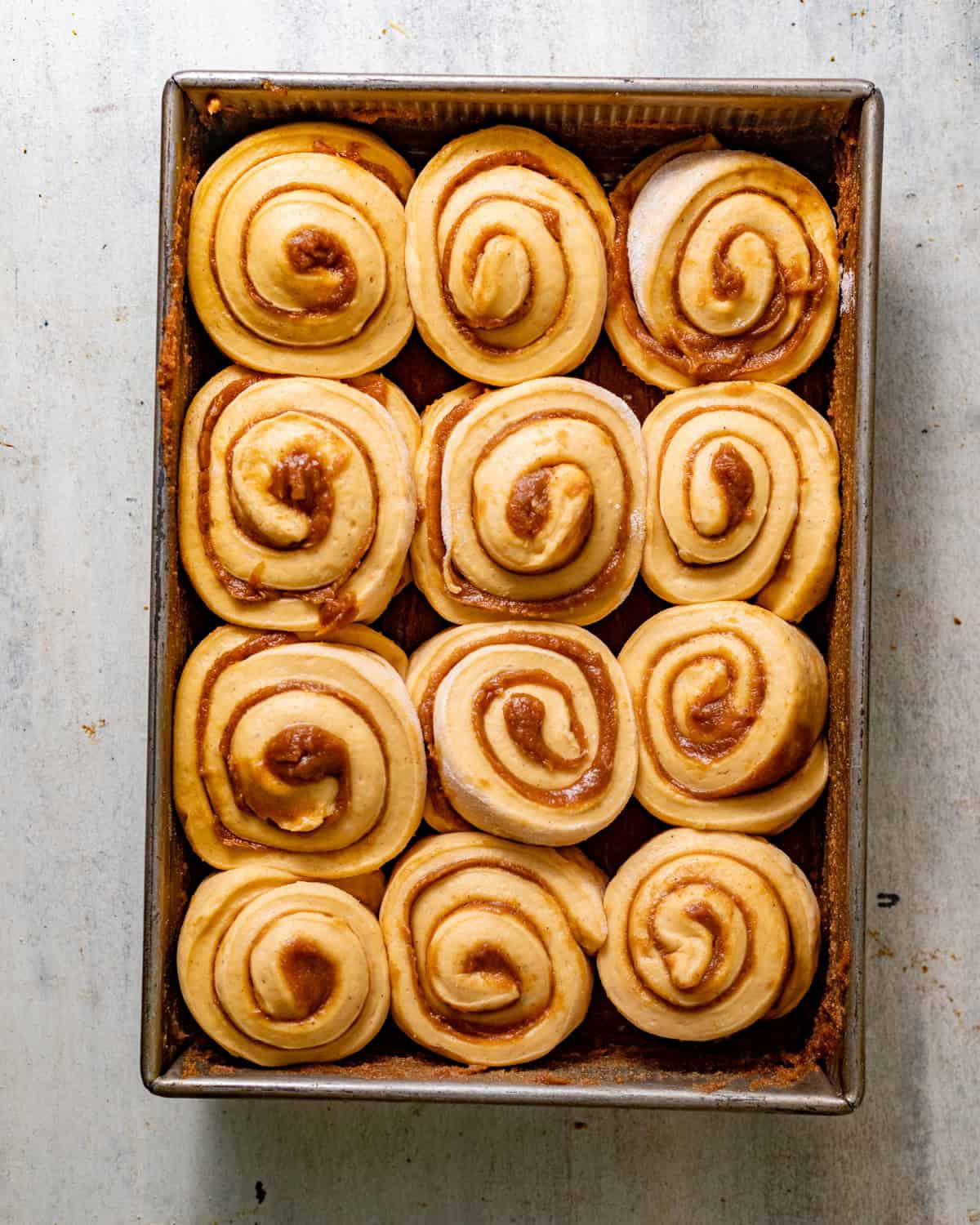 sweet potato cinnamon rolls placed into a rectangle baking dish to proof before baking.